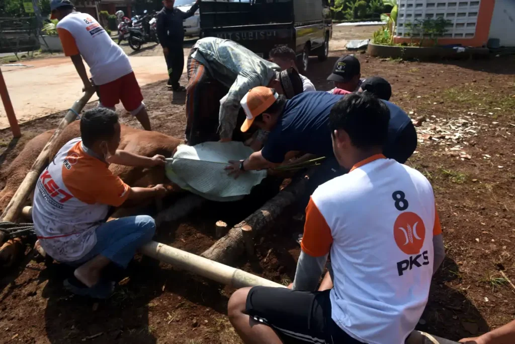 PKS Kabupaten Semarang Salurkan 200 Paket Daging Kurban untuk Warga Tuntang PKS Kabupaten Semarang Salurkan 200 Paket Daging Kurban untuk Warga Tuntang